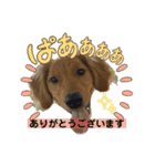 えるもくんのスタンプ♡♡（個別スタンプ：3）