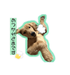えるもくんのスタンプ♡♡（個別スタンプ：5）