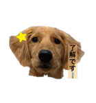 えるもくんのスタンプ♡♡（個別スタンプ：6）