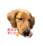 えるもくんのスタンプ♡♡（個別スタンプ：8）