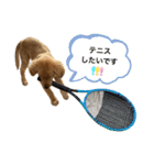 えるもくんのスタンプ♡♡（個別スタンプ：11）
