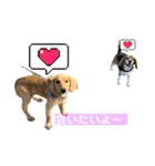 えるもくんのスタンプ♡♡（個別スタンプ：12）