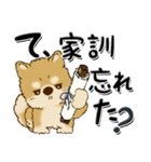 柴犬・ちゃちゃ丸38『家族・子へ』（個別スタンプ：1）