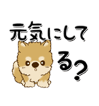柴犬・ちゃちゃ丸38『家族・子へ』（個別スタンプ：5）