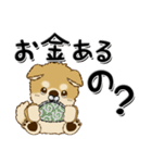 柴犬・ちゃちゃ丸38『家族・子へ』（個別スタンプ：21）