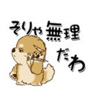 柴犬・ちゃちゃ丸38『家族・子へ』（個別スタンプ：23）