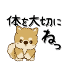 柴犬・ちゃちゃ丸38『家族・子へ』（個別スタンプ：36）