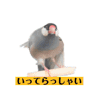 文鳥ラムネ＆ソーダのスタンプ②（個別スタンプ：2）