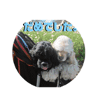 えるのあさくら3（個別スタンプ：24）