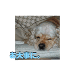 えるのあさくら3（個別スタンプ：33）