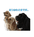 えるのあさくら3（個別スタンプ：35）