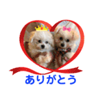 ちょんまげトリオと家族達（個別スタンプ：1）