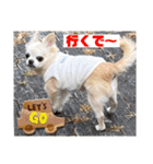 ちょんまげトリオと家族達（個別スタンプ：14）