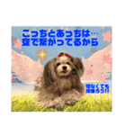 ちょんまげトリオと家族達（個別スタンプ：37）