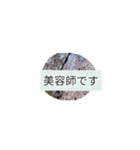 月山線雷印日薬寿鉢マルチダ山本壱（個別スタンプ：4）