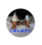 れいとの会話2（個別スタンプ：10）