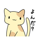 ぱんだだってねこと暮らしたい（個別スタンプ：3）