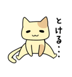 ぱんだだってねこと暮らしたい（個別スタンプ：13）