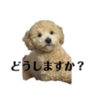 敬語のロト（個別スタンプ：1）