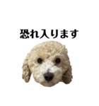 敬語のロト（個別スタンプ：3）