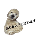 敬語のロト（個別スタンプ：4）