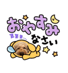 うちのかわいいおちゃんこ2（個別スタンプ：15）