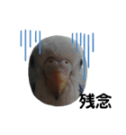 鳥郵票3（個別スタンプ：14）