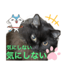 黒猫 ルナ院長95にゃんめ（個別スタンプ：4）