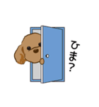 トイプードルらぶちゃんの動くスタンプ（個別スタンプ：9）