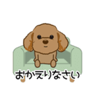 トイプードルらぶちゃんの動くスタンプ（個別スタンプ：10）