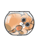 りんにゃんこ。文字無しver.（個別スタンプ：11）