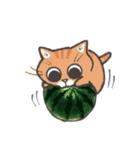 りんにゃんこ。文字無しver.（個別スタンプ：15）