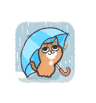 りんにゃんこ。文字無しver.（個別スタンプ：27）