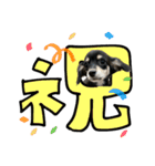 元気いっぱいワンワンスタンプ（個別スタンプ：23）