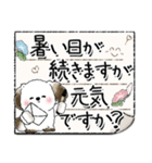 わんちゃん(多分) 3『暑いの嫌いです』（個別スタンプ：38）