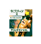 レイ君 人生で大事な事を呟く。【修正版】（個別スタンプ：10）