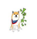 柴犬（赤×黒）（個別スタンプ：5）