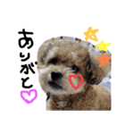 ramuずくし♡（個別スタンプ：5）