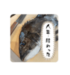 男の釣りスタンプ（個別スタンプ：2）