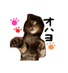 第2弾〜メメお帰りなさい祝い〜（個別スタンプ：1）