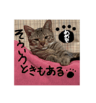 第2弾〜メメお帰りなさい祝い〜（個別スタンプ：6）