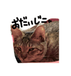 第2弾〜メメお帰りなさい祝い〜（個別スタンプ：8）