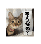 第2弾〜メメお帰りなさい祝い〜（個別スタンプ：12）