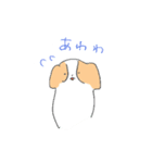 パピヨンっぽい犬（個別スタンプ：3）