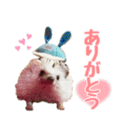 ハリネズミたいちゃんの日常（個別スタンプ：1）