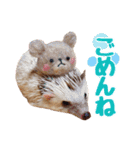 ハリネズミたいちゃんの日常（個別スタンプ：2）