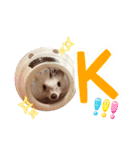 ハリネズミたいちゃんの日常（個別スタンプ：3）