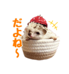 ハリネズミたいちゃんの日常（個別スタンプ：8）