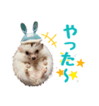 ハリネズミたいちゃんの日常（個別スタンプ：13）