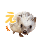 ハリネズミたいちゃんの日常（個別スタンプ：15）